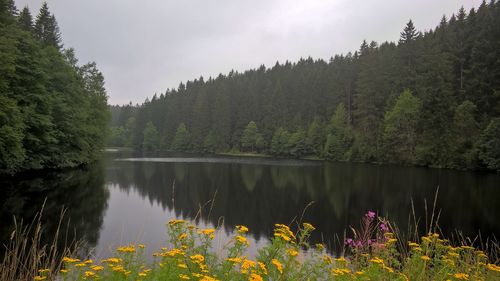 Scenic view of calm lake with trees reflection against sky