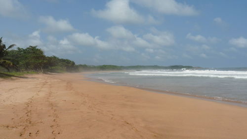 Scenic view of beach against sky