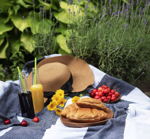 Summer picnic in lavender field. still life summer outdoor picnic with berries, straw hat and juice