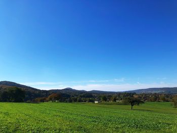 Scenic view of field against clear blue sky