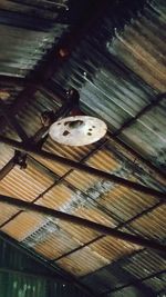 Low angle view of bird perching on wood