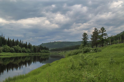 Scenic view of trees on landscape against sky