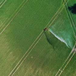 Aerial view of a green field with young crops, supplied with moisture by an irrigation system