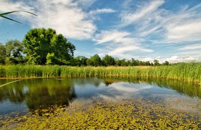 Scenic view of lake against sky