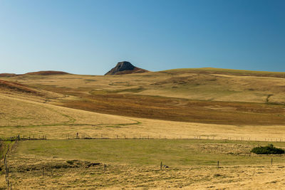 Scenic view of field against clear sky