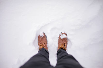 Low section of man standing on snow