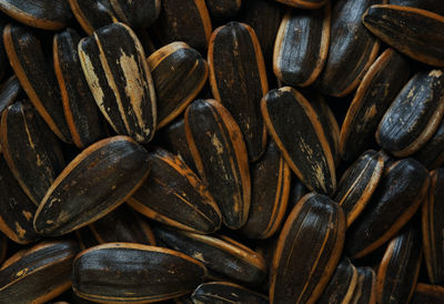 Full frame shot of sun flower seeds 