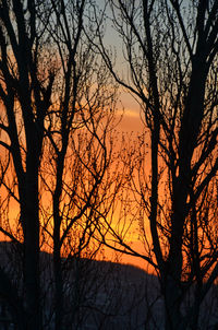 Silhouette of bare trees against sky at sunset
