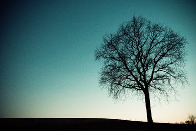 Silhouette bare tree on field against clear sky