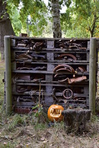 Abandoned cart on field