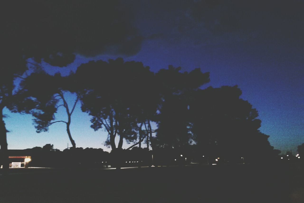 silhouette, tree, sky, night, low angle view, dark, dusk, illuminated, tranquility, nature, cloud - sky, beauty in nature, tranquil scene, growth, street light, built structure, outdoors, scenics, palm tree, no people