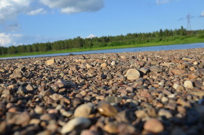 Close-up of pebbles on beach against sky