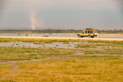 A safari vehicle on a dirt road amidst flamingos in amboseli national park in kenya