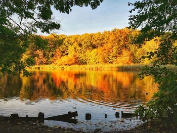 Scenic view of lake during autumn