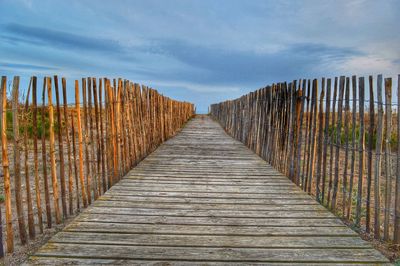 Boardwalk amidst plants against sky