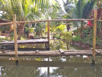 View of lake with plants in foreground