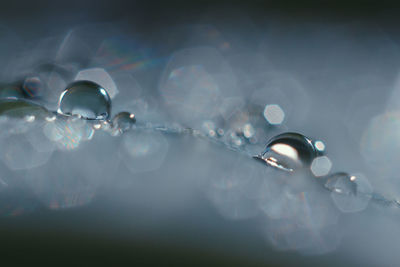 Close-up of water drops on bubbles