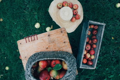 High angle view of apples in basket