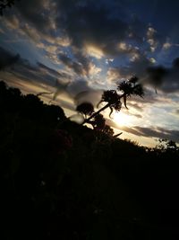 Silhouette of tree against cloudy sky