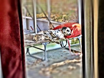 Surface level of window