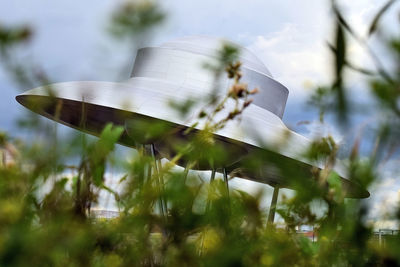 Close-up of butterfly on field against sky