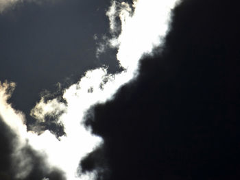 Low angle view of silhouette trees against sky