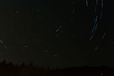 Low angle view of trees against star field at night