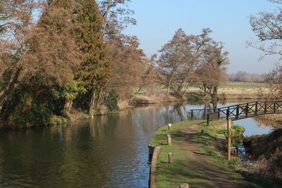 Scenic view of river in forest against sky