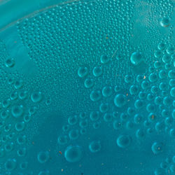 Close-up of bubbles in water