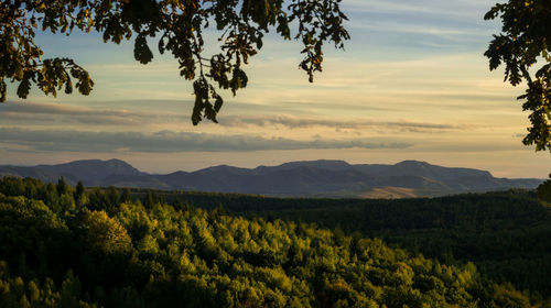 Scenic view of landscape against sky during sunset