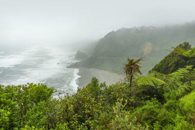 Stormy coastal scenery at cape foulwind in new zealand