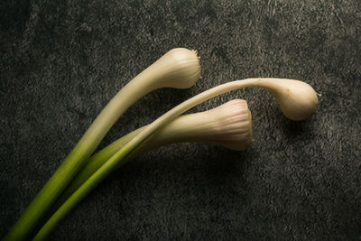 High angle view of banana on table