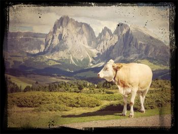 Horses on landscape against mountain range