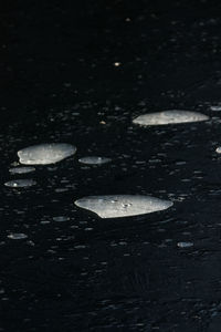 Close-up of water at night