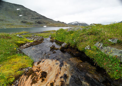 A small, rocky mountain stream in sarek national park, sweden. 