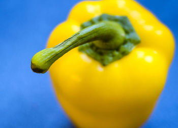 Close-up of yellow bell pepper against blue background