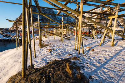 Snow covered land on field during winter