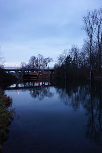 Reflection of trees in river