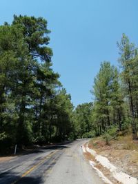 Empty road in forest against clear sky