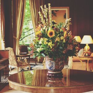 Potted plant in vase