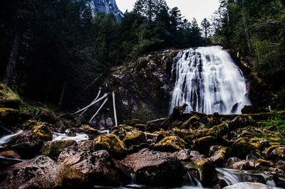 Scenic view of waterfall in forest