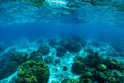 Aerial view of sea and rocks