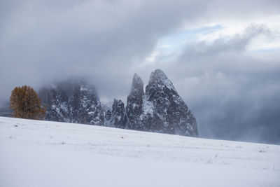 Snow covered trees against sky