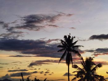 Low angle view of silhouette palm trees against sky during sunset