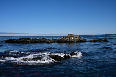 Scenic view of sea against clear sky