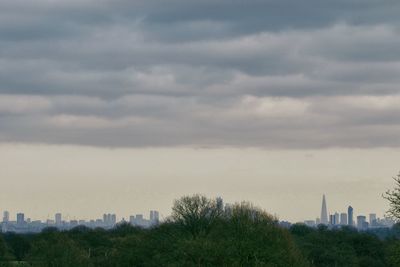 Trees and buildings against sky