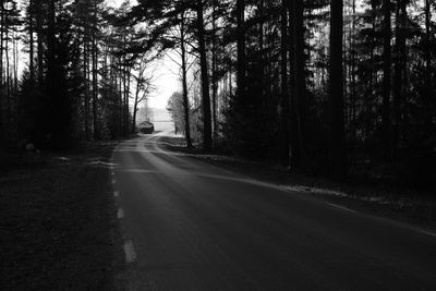 Empty road amidst trees in forest