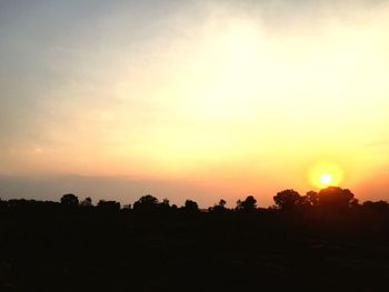 Silhouette trees on landscape against sky during sunset