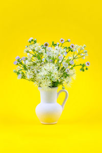 Close-up of yellow flower in vase