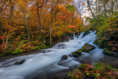 Stream flowing in forest during autumn